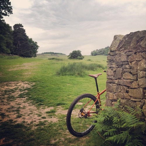 bisikleta: Hello Cheeky… #cheekytrails #youcantridehere @salsacycles (by placid casual)
