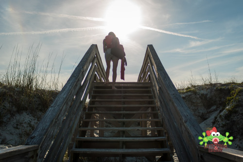 littlefroganddaddy: Pullup DayWe made a trip to St. Augustine to explore the fort and the oldest cit