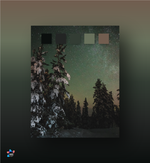paletteworld: #950B0F0E - 232524 - 333D34 - 68715C - 715D4F