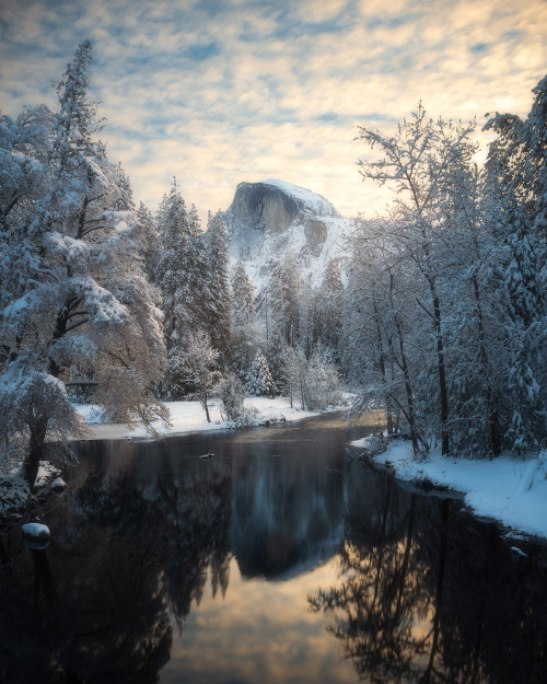 oneshotolive:  Winter wonderland in Yosemite