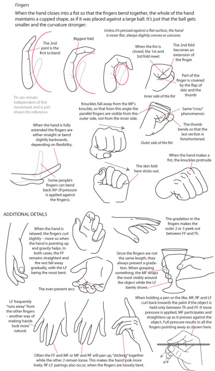 helpyoudraw:Drawing Hands by majnouna on DeviantArt