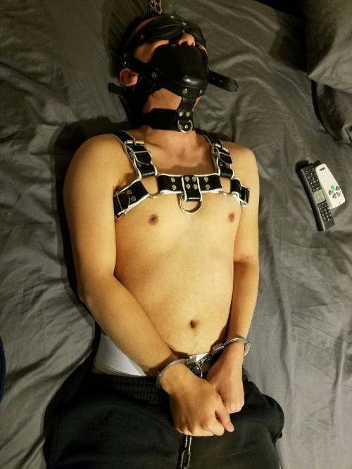 pupaegis:Not a bad way to be kept overnight hehe *wags*