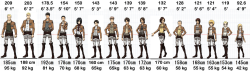 torikabori:  Attack on Titan characters, arranged by weight. Things I have learned while making this: 1. Reiner and Erwin confirmed to be human-shaped bricks 2. Reiner weighs about as much as Annie and Christa combined 3. Levi what the fuck 