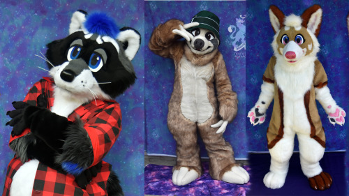 LobitaWorks will be holding a auction for a fursuit commission slot! This will be first in our queue