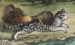 septembriseur:  Rocket cats in the 15th century.