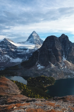 stayfr-sh:  Mt. Assiniboine