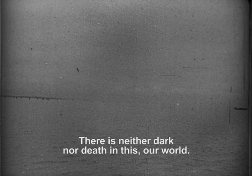 herheadinfilmspodcast:  The Mirror (Andrei Tarkovsky, 1975)  