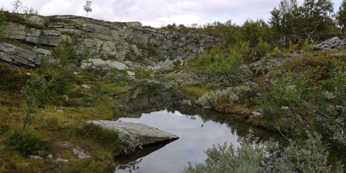 michaelnordeman:Evagraven, a canyon in Flatruet, Härjedalen, Sweden. September 2019.