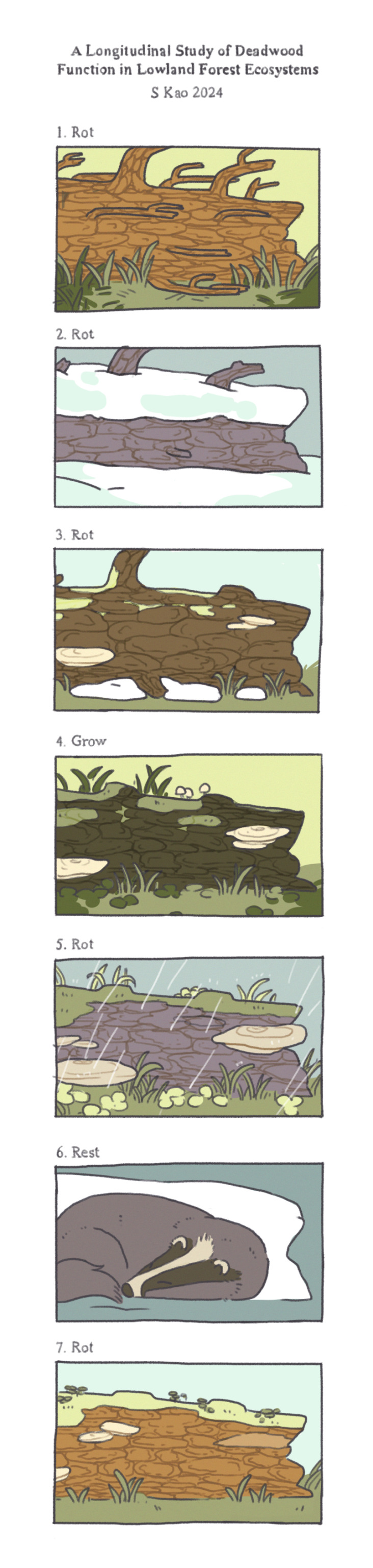 A Longitudinal Study of Deadwood Function in Lowland Forest Ecosystems S Kao 2024  A timelapse of a fallen log, slowly moving through seasons. It is blanketed by snow then moss through the spring and summer. Small shelf mushrooms sprout, then grow large. A badger naps through the winter.