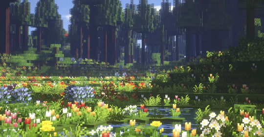 Flower Time