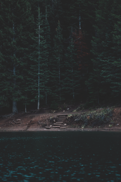 stayfr-sh:  Tibble Fork