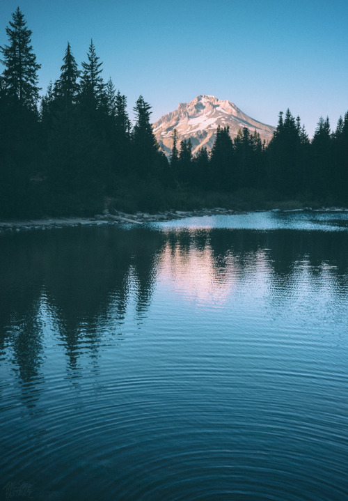  Vintage and Nature 