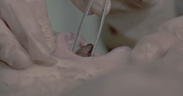 kubriq:“Well, Clarice - have the lambs stopped screaming?“  The Silence of The