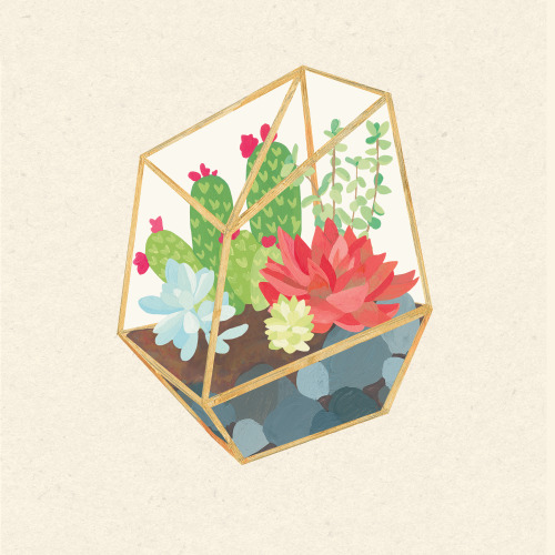 sweetmans:  terrarium collection all together :) 