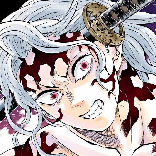MUZAN KIBUTSUJI ICONS
