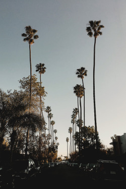 motivationsforlife:  LA Evenings by @neverwearthem