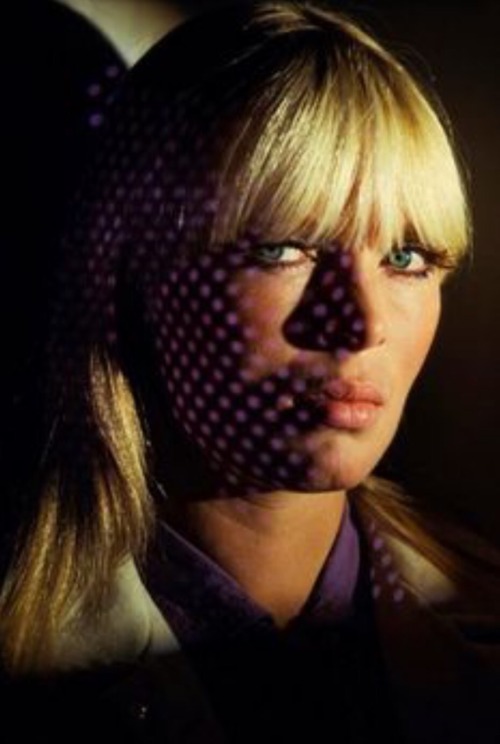 harder-than-you-think:  Nico, the Velvet Underground, 1960’s. 