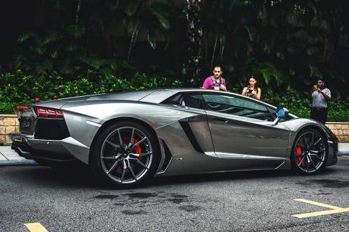 Sex artoftheautomobile:  Lamborghini Aventador pictures