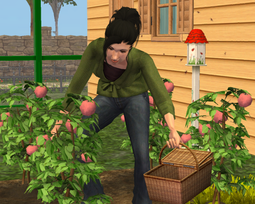 I Was Hoping To Start Selling Some Of My Fruits And Veggies From The Garden In The Shop, But None Of