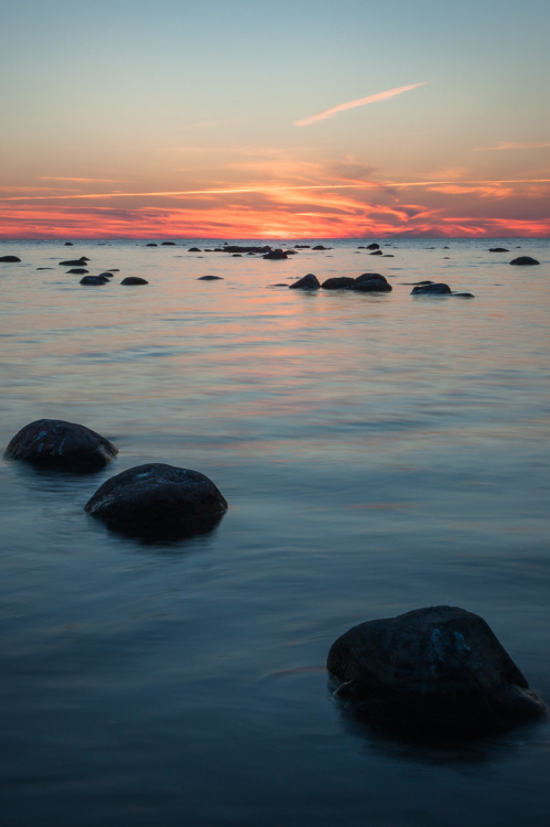 sundxwn:  Untitled by Ēriks Zilbalodis