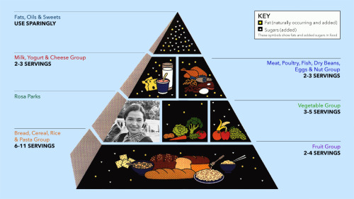 clickholeofficial:Progress: The USDA Is Adding Rosa Parks To The Food PyramidNow this is truly histo