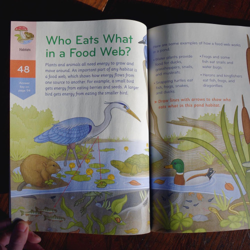  Nature Smarts Workbooks from Mass Audubon and Storey Publishing are out today! Find on their websit