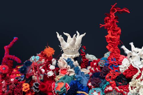 elodieunderglass:arachnaetheyarnspider: itscolossal: A Vibrant Coral Ecosystem of Thousands of Croch