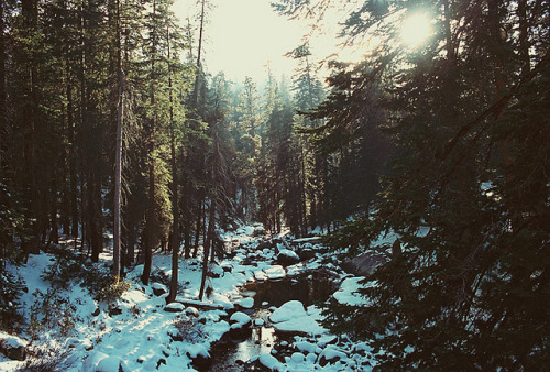 inmensus:  untitled by coolhandluke on Flickr.