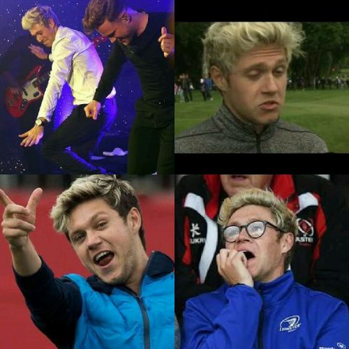 25746591: Niall’s cute and funny moments (only 2016) (my edit)