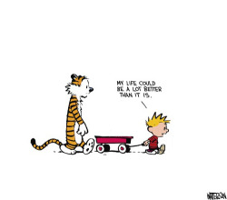 nevver:  Calvin and Hobbes 
