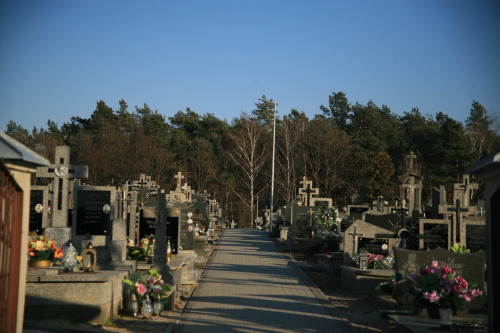 nakedinthecity: Cemetery Gates, 19.03.2022