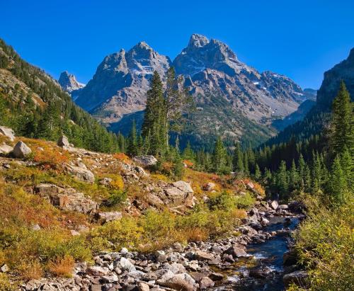 Fall is starting just above the treeline in Grand Teton National Park [OC][1800x1480] via /r/EarthPo