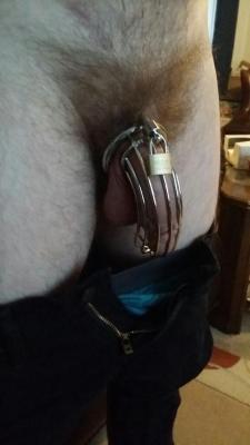 misterchgocub:Boy in chastity for me. 