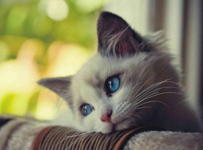  When im planing my transition and i realise there is no way on earth i can afford