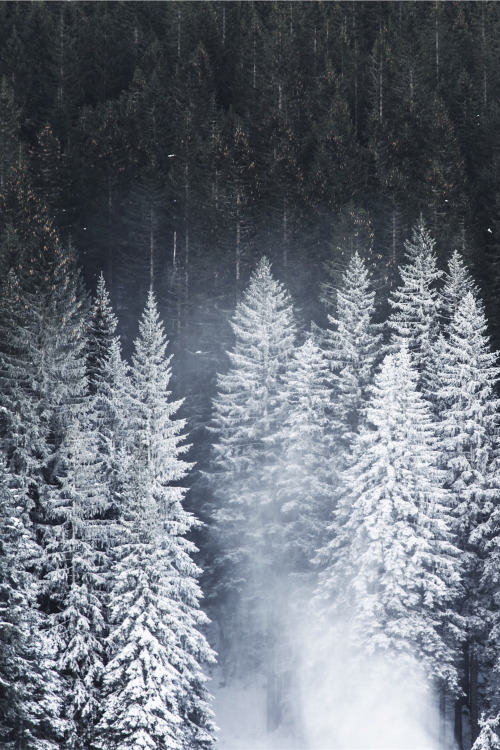 thelavishsociety:Changes by Ales Krivec | LVSH