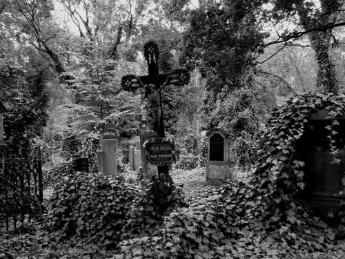 phallusifer9: Olšany Cemetery, Prague