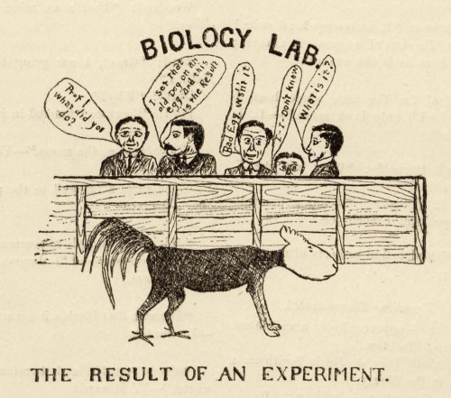 The result of sitting an old dog on an egg.  From the University of Arkansas, Fayetteville’s 1