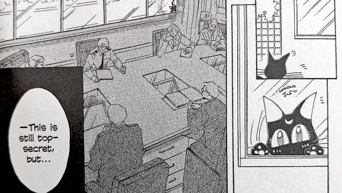 sailormoonsub:My favorite moment of the sailor moon manga is when Luna the cat leaked classified gov