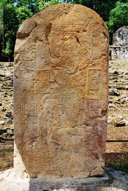 Ancient Mayan unlabled stele in the Grand Plaza of Yaxchilan, Chiapas, Mexico.Photo courtesy Thelmad