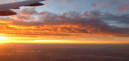 mitdemadlerimherzen: Almost Home | Bye bye Éire Somewhere over Limburg, GermanyThis marked th