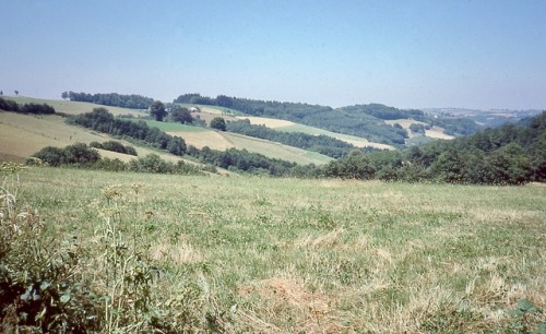 Deux paysages du Causses en été, Aveyron, 1984.The Causses are a parts of large limestone plateau at