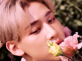 Pink Bambam Requested By @jackbamiels