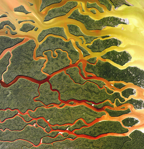 dailyoverview: Everglades National Park in Florida is the largest tropical wilderness in the United 