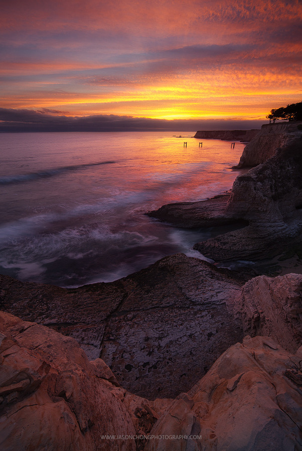 drxgonfly:  FOR JEFF (by Jason Chong) 