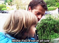 mishas-assbutts:  [x] 