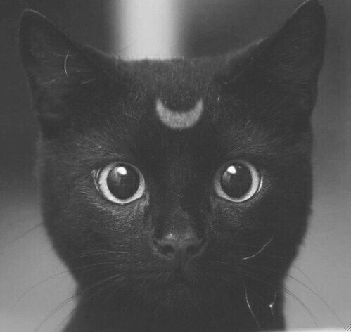 unevxntful:  my blog will make you smile  