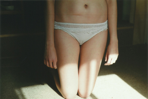 wildstag:  untitled by cabinadelafoto on Flickr. 