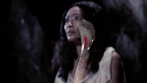 Night of the Cobra Woman - 1972 - Andrew Meyer