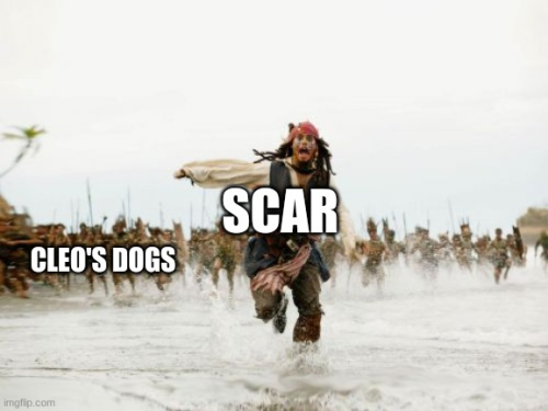 Secret Life Session 6 Memes Because People Like This Series