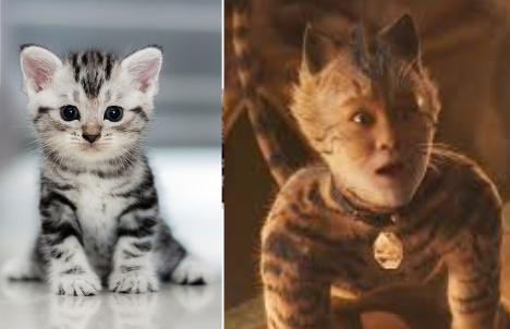 Cats 2019 As Real Cats Cause Why Not